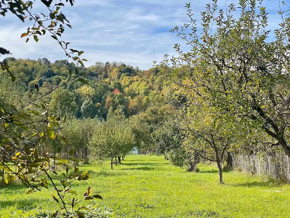 Casă · 4 camere · 100 m², Alunis, Slănic