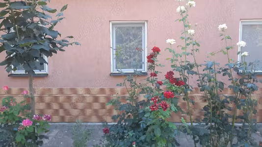 Casă Lovrin