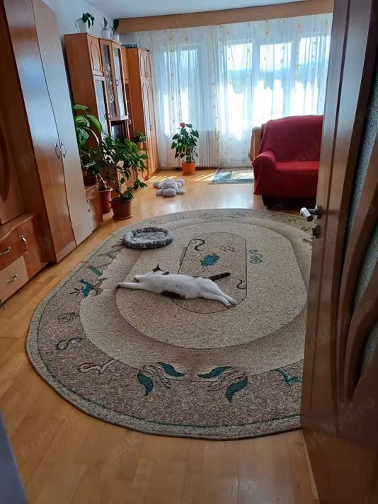 Apartament Caransebes