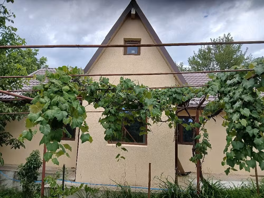 De vânzare casă cu teren în Satul Brițcani, Comuna Dulcești, Județul Neamț