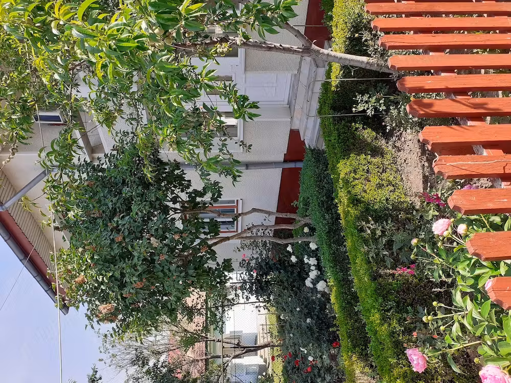 Casa de vanzare