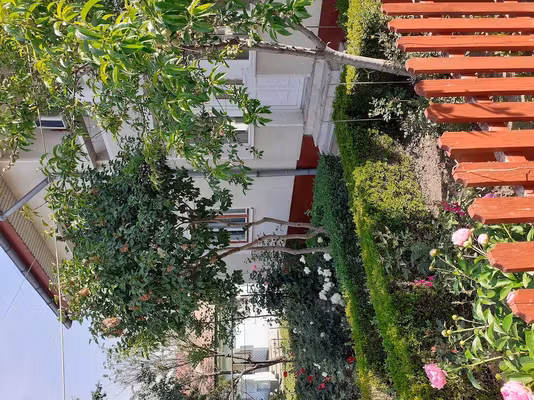 Casă caetier Tache