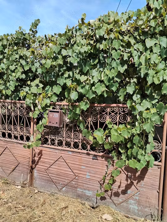 Casă Zam