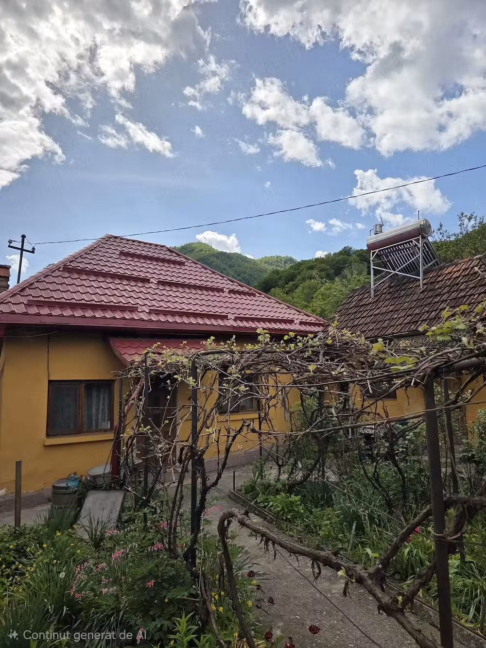 Vând casă și teren in Brezoi