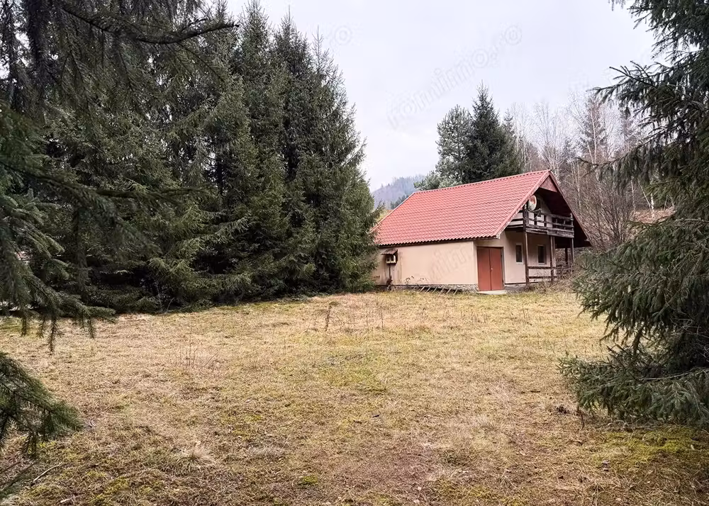 Casa de vacanta - Lesu - Coada lacului