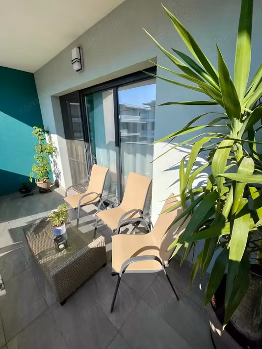 Apartament Lipovei