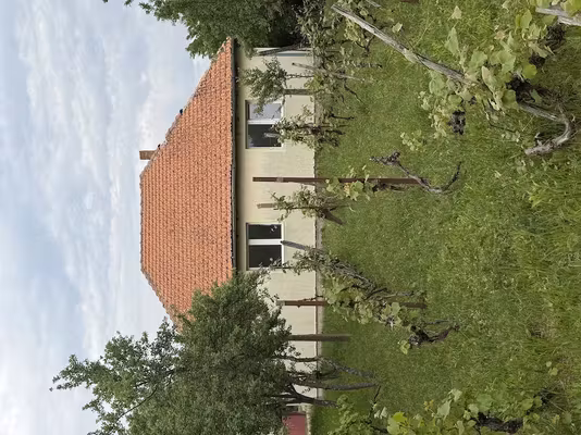Casă -