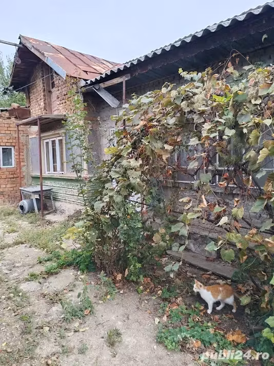 Casă Crivina