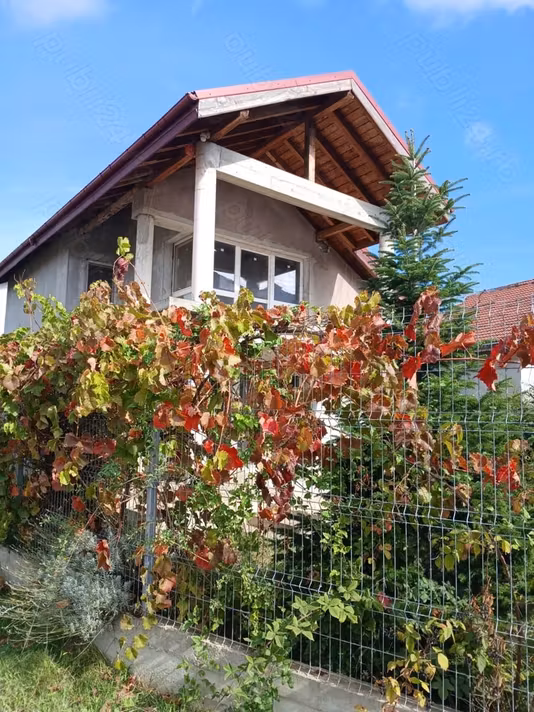 Casă Voluntari