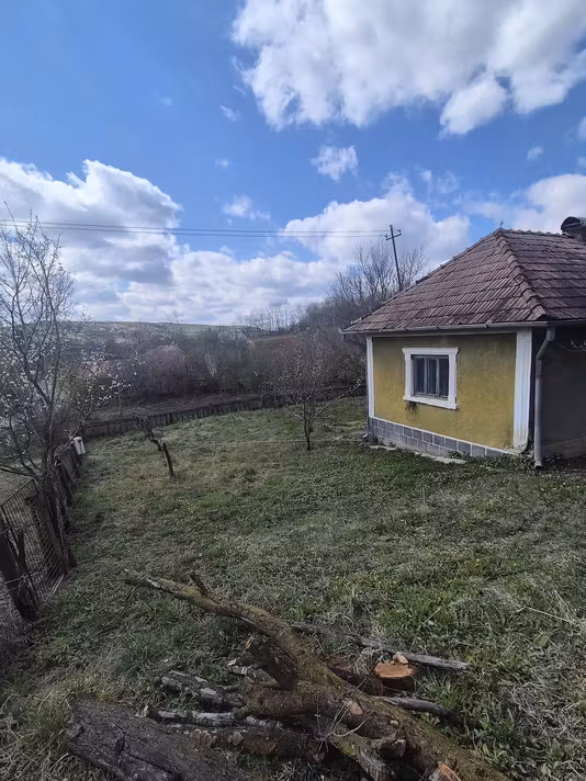 Casă Catina