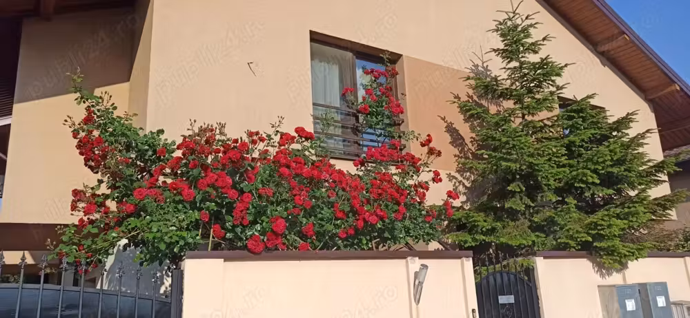 Eleganță, spațiu și confort   Duplex modern în Clinceni, lângă Pasajul Domnești