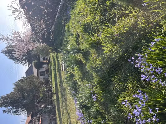 Casă Calea Clujului