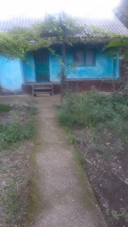 Casă Vladiceni