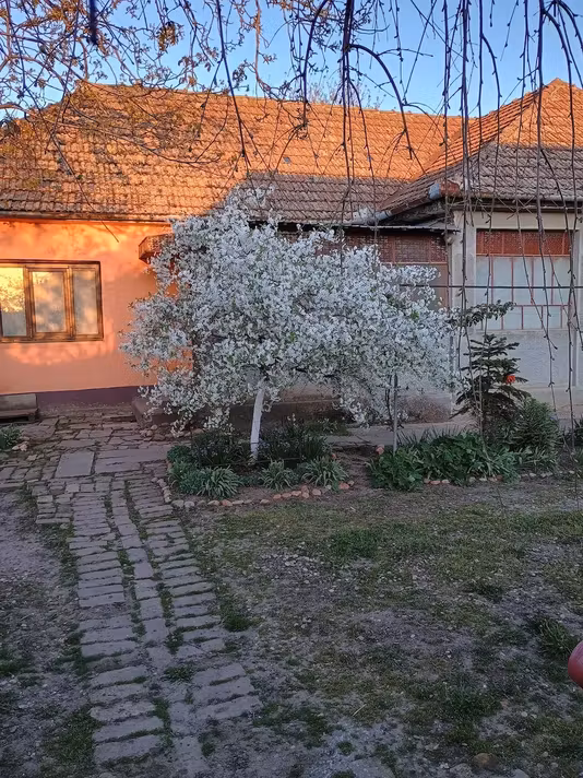 Casă Satchinez