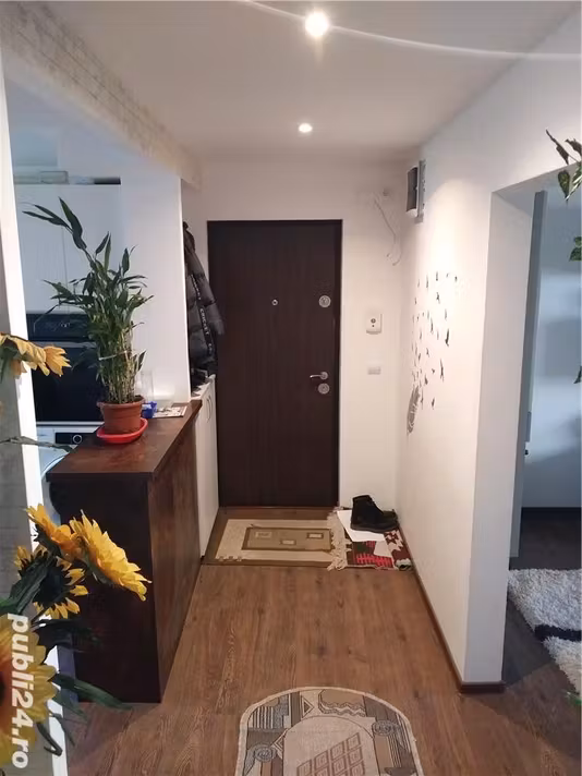Apartament Targu Lapus