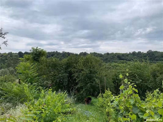 Casă Varvoru de Jos