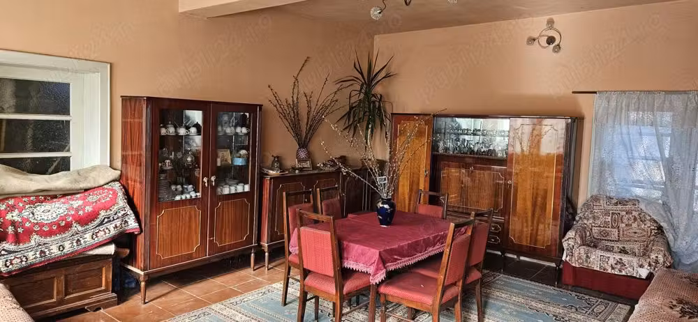 vand casa in Sebis str.Vrancei nr.4, jud.Arad