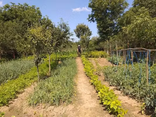 Casă Galesti
