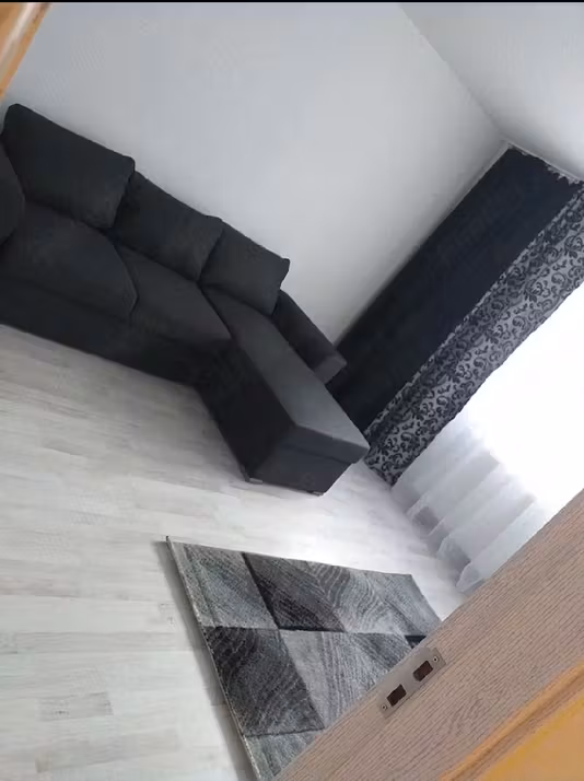 Apartament Theodor Pallady