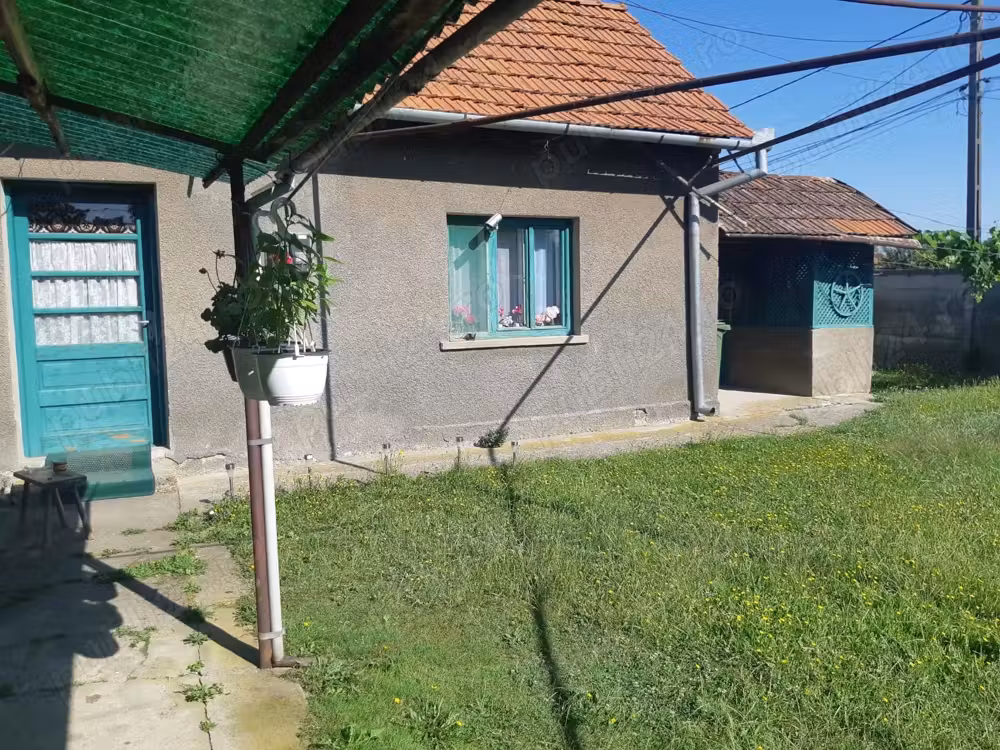 Vand casa cu gradina