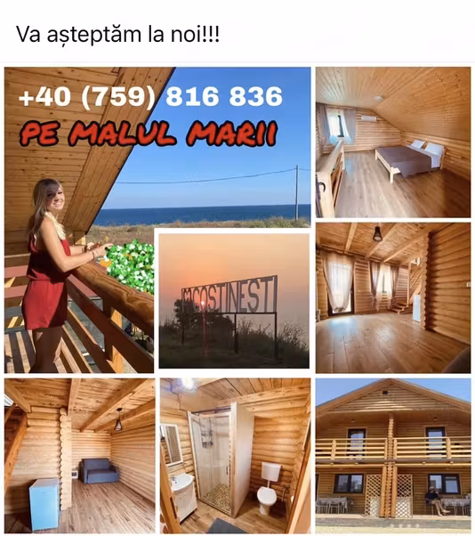 Apartament Schitu