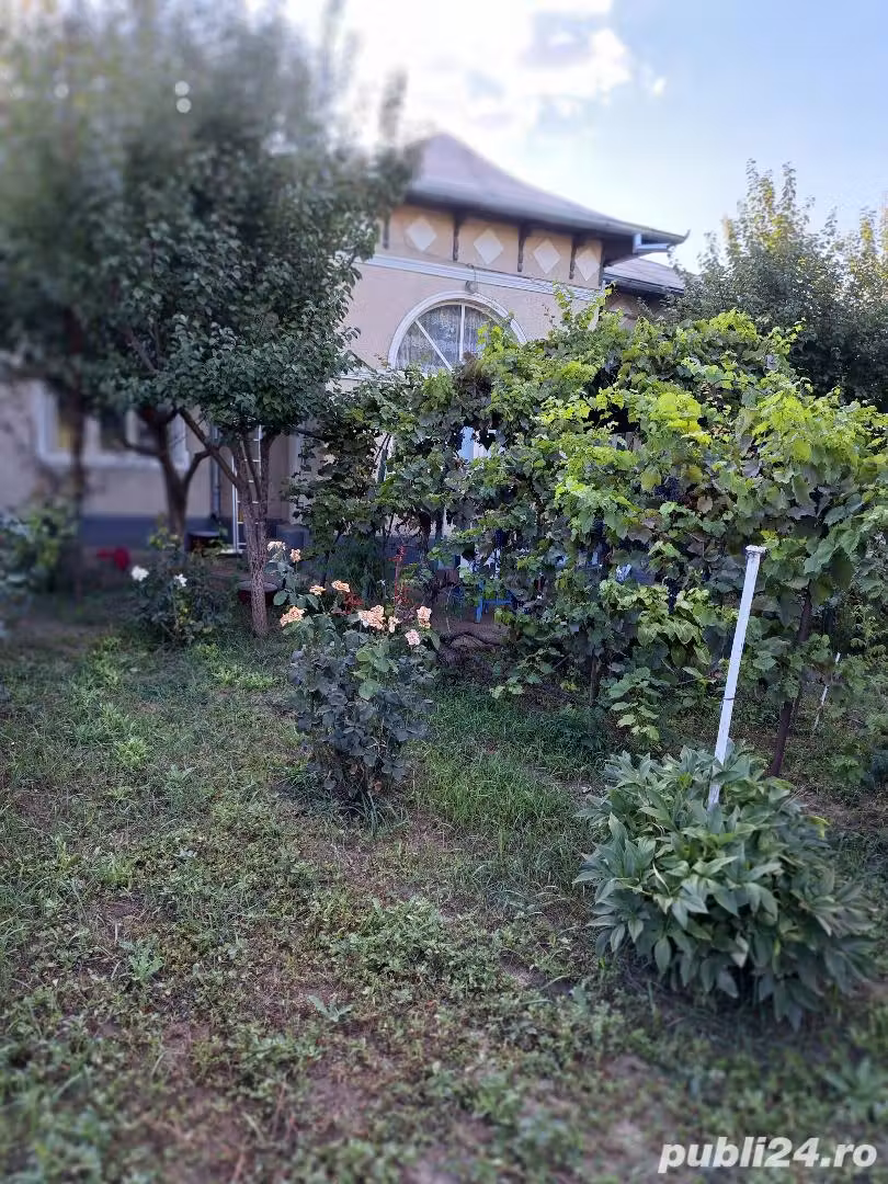 Vând casă - Vaslui, Str. Florilor nr.5