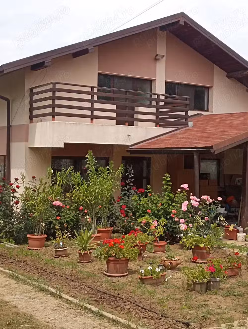 Casa de inchiriat Zona Bucium (Plopii fara sot)