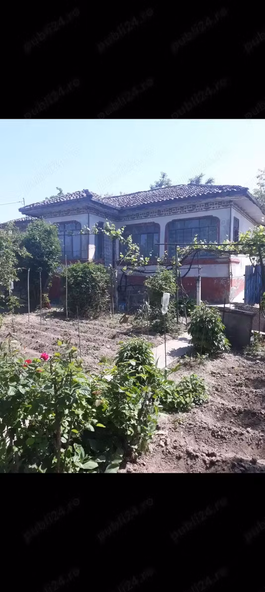 Casă Oltina