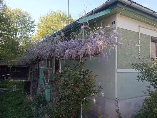 Casă Reghin