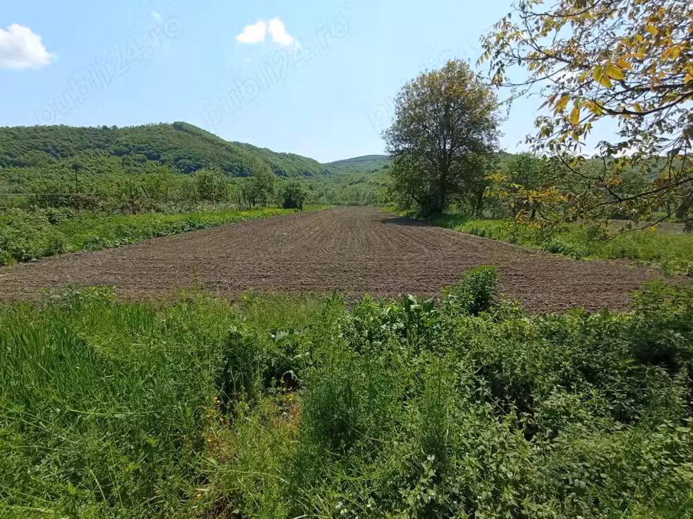 Casă · 4 camere · 100 m², Hida, Jibou