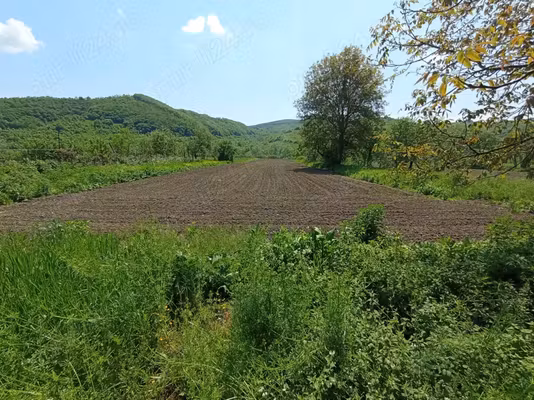 Casă Hida