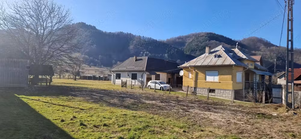 Casă de vânzare P+D + construcții anexe