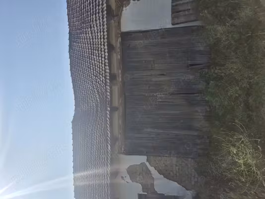 Casă Taut