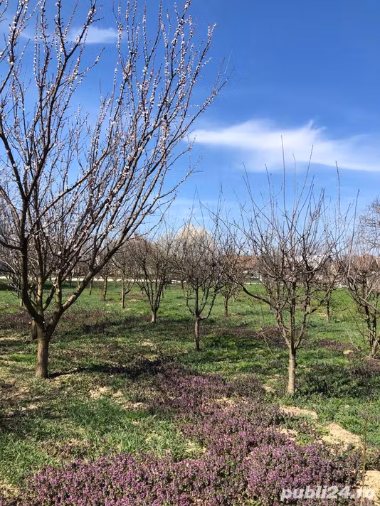 Casă Sicula
