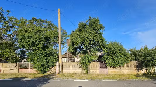 Casă Drajna Noua