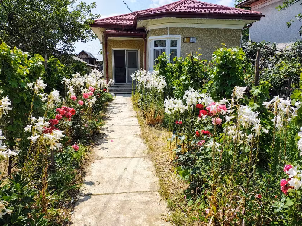 Gospodărie de vânzare Calui jud. Olt