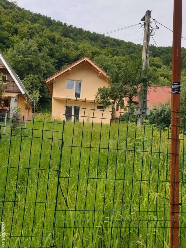 Casa de vacanta Borlova Muntele Mic Caras Severin