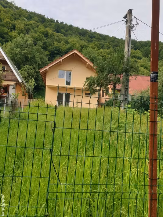 Casă Borlova