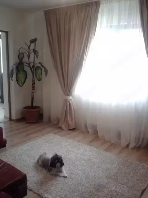 Casă + Garaj cu teren în oraș de vânzare
