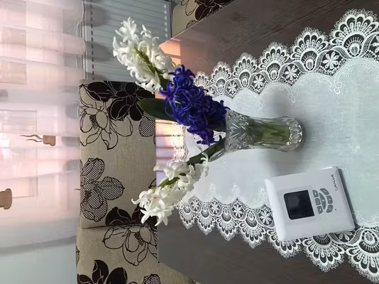 Apartament Precista