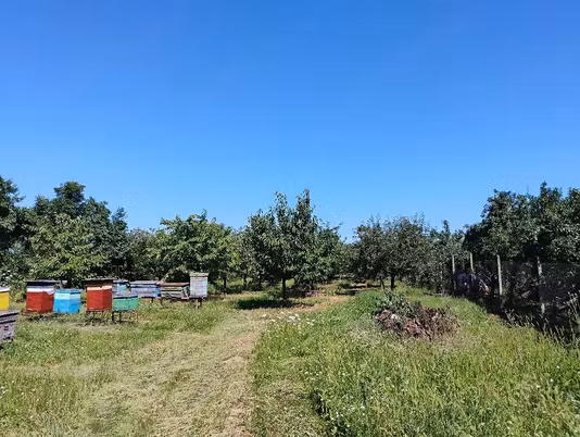 Casă Bilciuresti