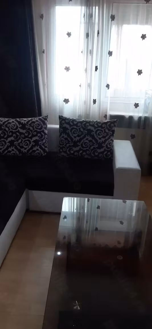 Apartament Viziru 3