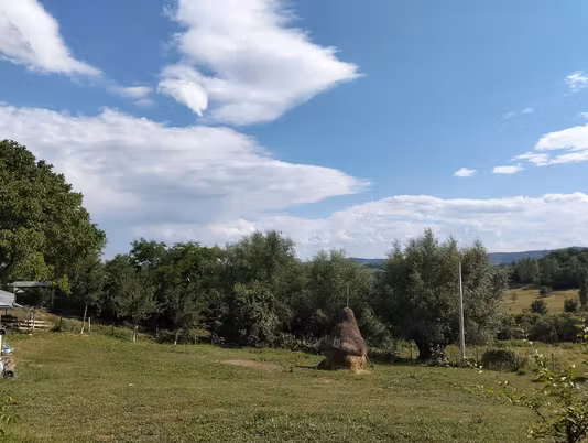Casă Socea