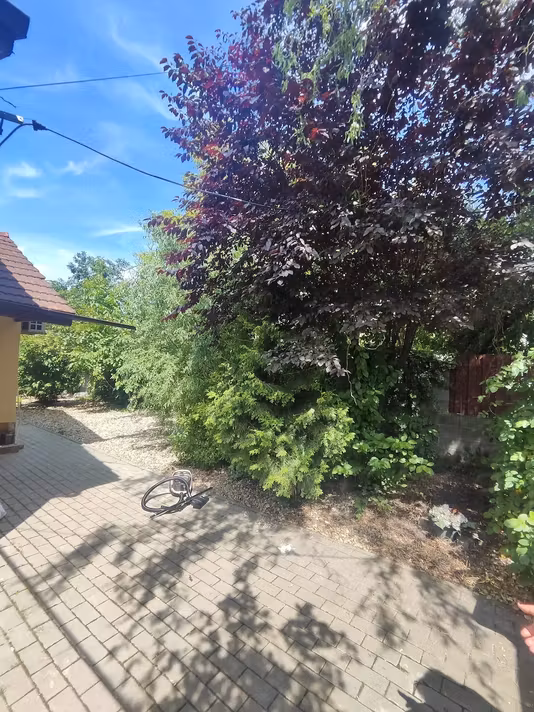 Apartament Sagului