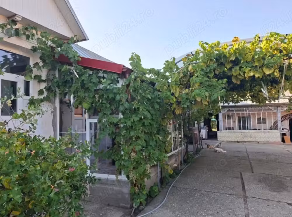 Gospodărie superbă cu 3 dormitoare 2 băi si gradina