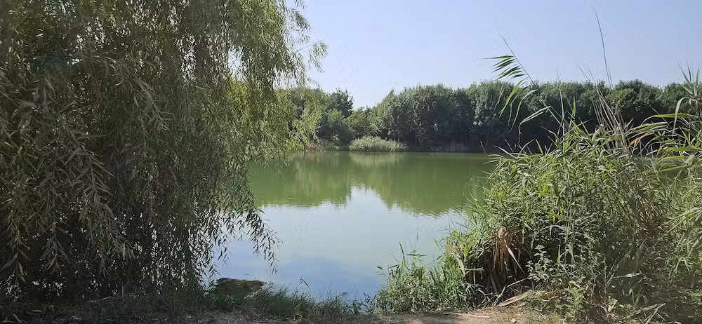 Casă · 3 camere · 70 m², Petrachioaia, afumati-ilfov