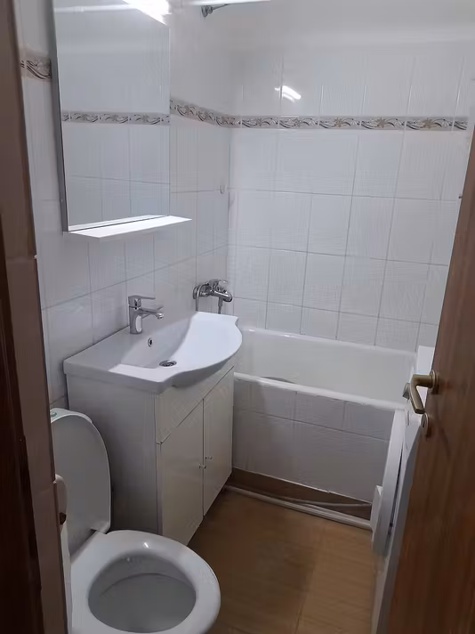 Apartament Theodor Pallady