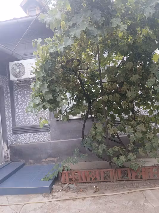 Casă Poroschia, Calomfirești