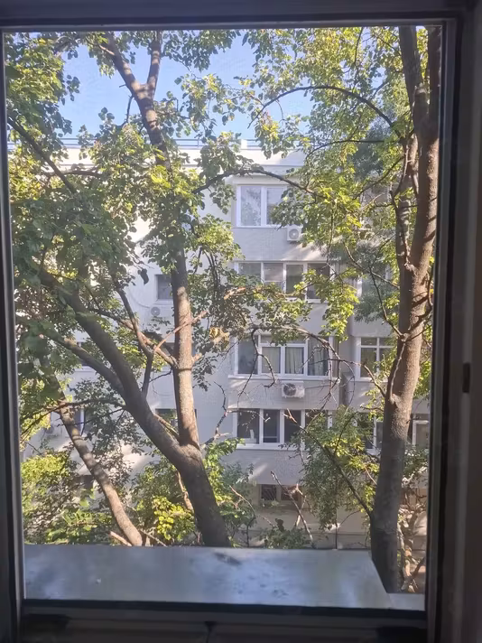 Apartament Tei