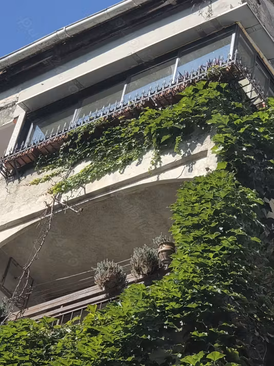 Apartament Episcopiei%253a